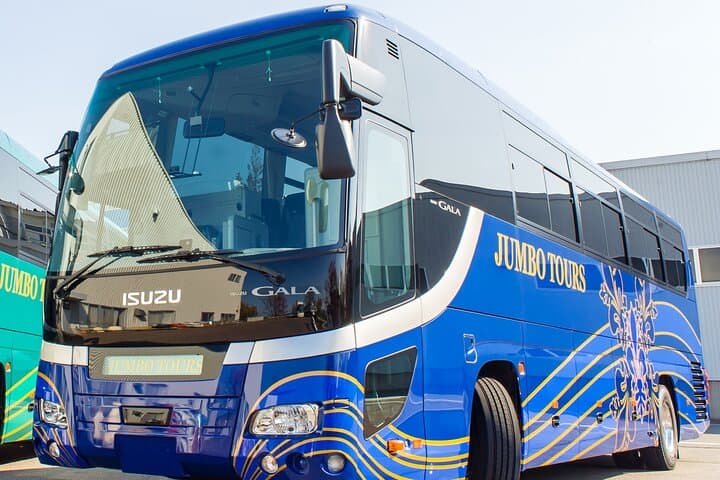 Okinawa HIP-HOP BUS B - 1 Course Tour (Okinawa Churaumi Aquarium) — photo 14