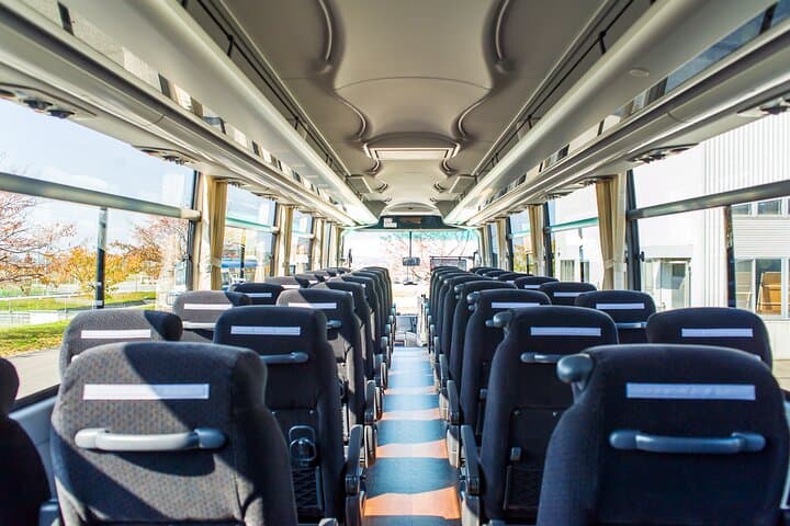 Okinawa HIP-HOP BUS B - 1 Course Tour (Okinawa Churaumi Aquarium) — photo 15