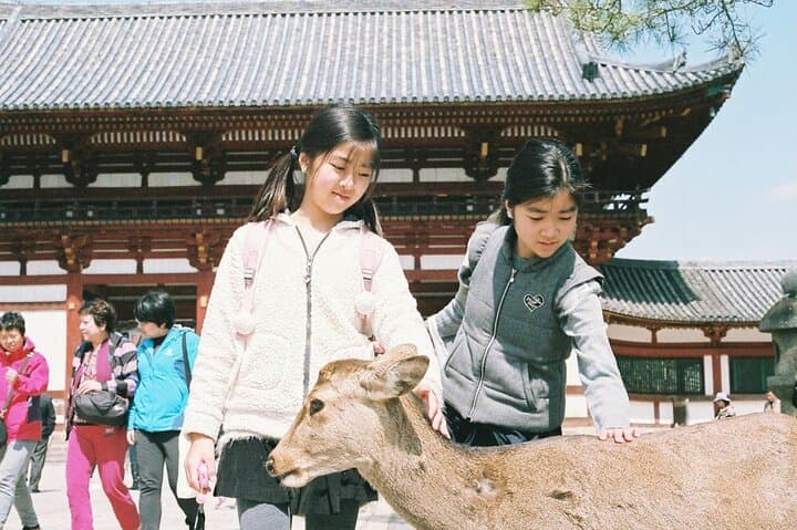 Nara Personalized Half Day Tour with a Local Guide — photo 5