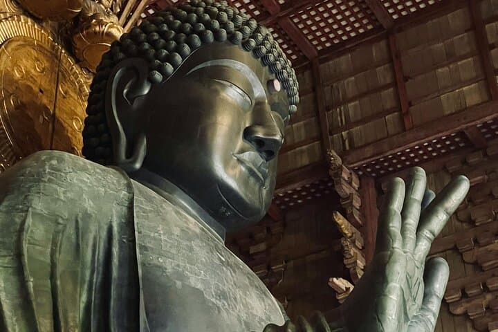 Nara Personalized Half Day Tour with a Local Guide — photo 8