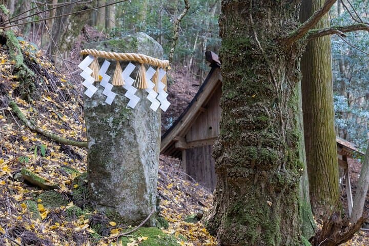 Shinrinyoku Explore the Historic Sites of Shugendo Culture — photo 3