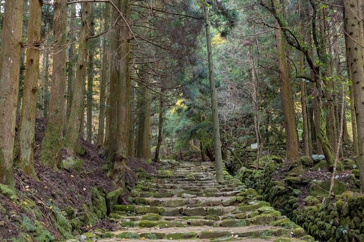 Shinrinyoku Explore the Historic Sites of Shugendo Culture — photo 4