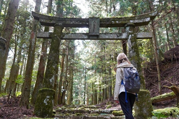 Shinrinyoku Explore the Historic Sites of Shugendo Culture — photo 5
