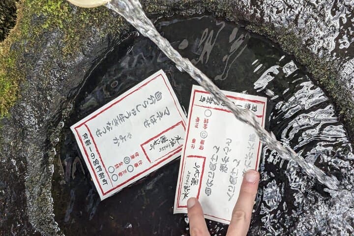 Private guided tour: Mt. Aso volcano, grasslands, Aso Shrine — photo 7