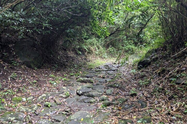 Walking through the Aso Caldera, Historical Walk along the "Bungo Kaido" — photo 9