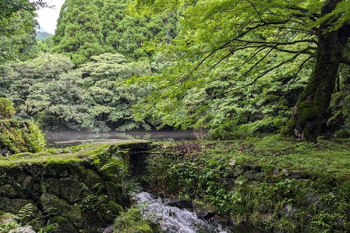 Walking through the Aso Caldera, Historical Walk along the "Bungo Kaido" — photo 13