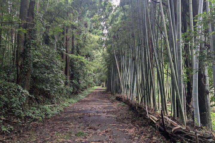 Walking through the Aso Caldera, Historical Walk along the "Bungo Kaido" — photo 17