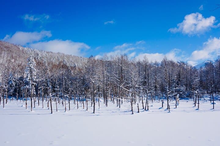 Niseko ⇔ New Chitose Airport Private Transfer | Licensed Driver — photo 7