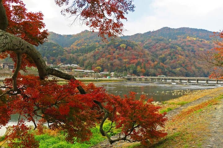 Arashiyama Walking Tour with Optional Sagano Romantic Train Ride — photo 10