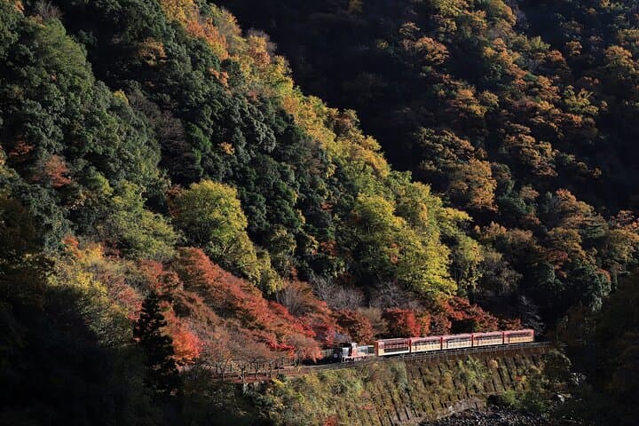 Arashiyama Walking Tour with Optional Sagano Romantic Train Ride — photo 2