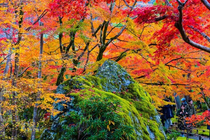 Arashiyama Walking Tour with Optional Sagano Romantic Train Ride — photo 4