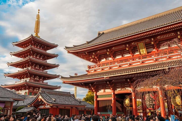 Tokyo: Private Walking Tour with a Local Guide — photo 3
