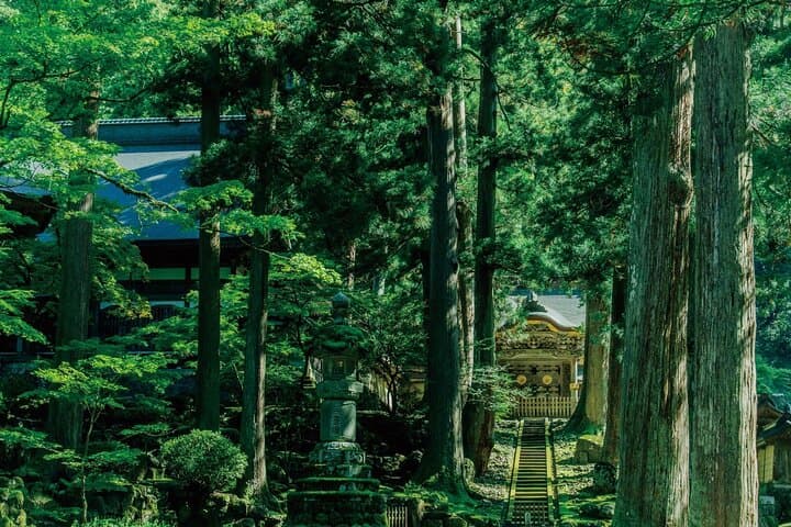 6 Day Private MINIBUS Tour to Kyoto via Fukui from Fukuoka