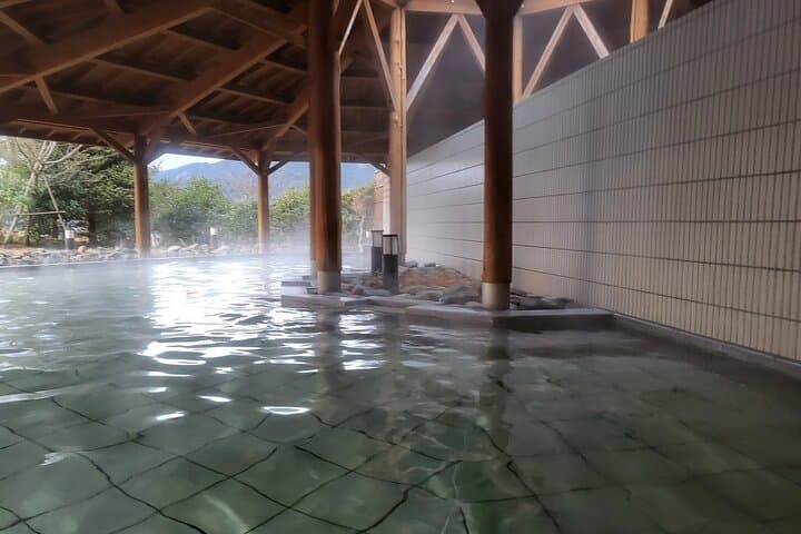 Private Hakone Tour from Tokyo — photo 8