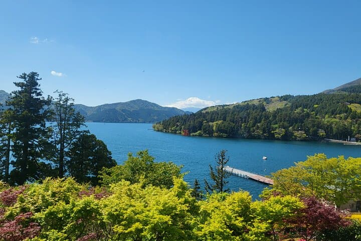 Private Hakone Tour from Tokyo — photo 2