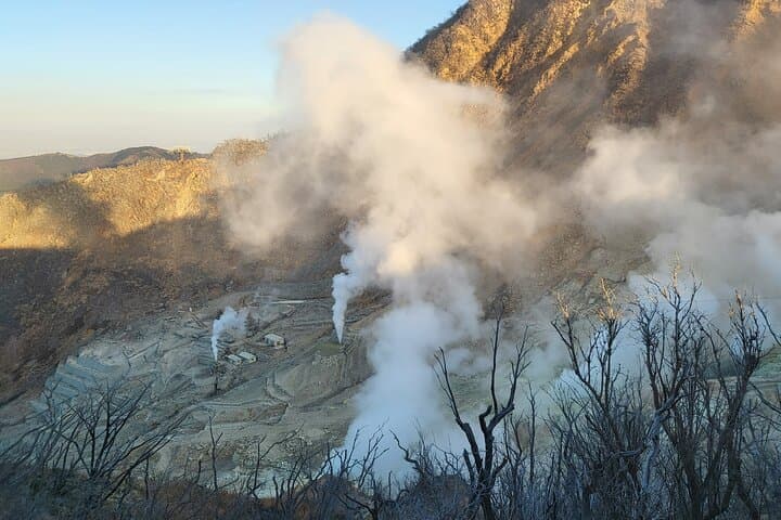 Private Hakone Tour from Tokyo — photo 5