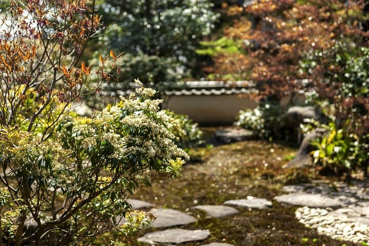 Discover the Charms of Fukuoka — photo 4