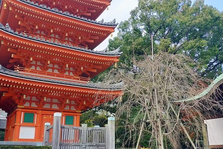 Discover the Charms of Fukuoka — photo 6