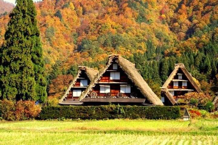 Shirakawago Heritage and Hida Takayama Day Tour from Nagoya — photo 8