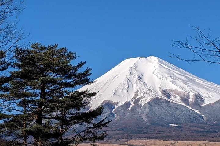 Mt. Fuji Private Car Tour from Tokyo — photo 4
