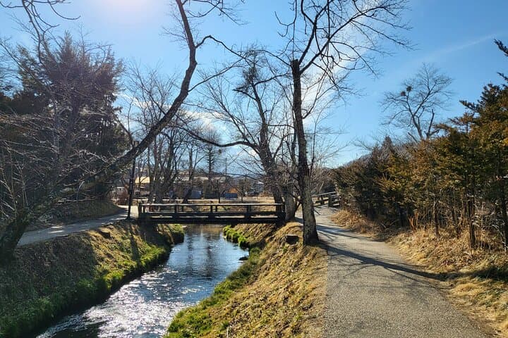 Mt. Fuji Private Car Tour from Tokyo — photo 9