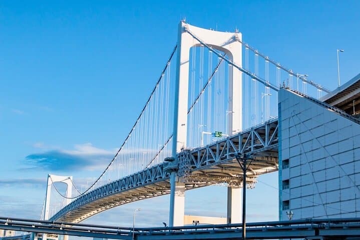 Tokyo Highlights Private Full Day City Tour With English Guide — photo 2