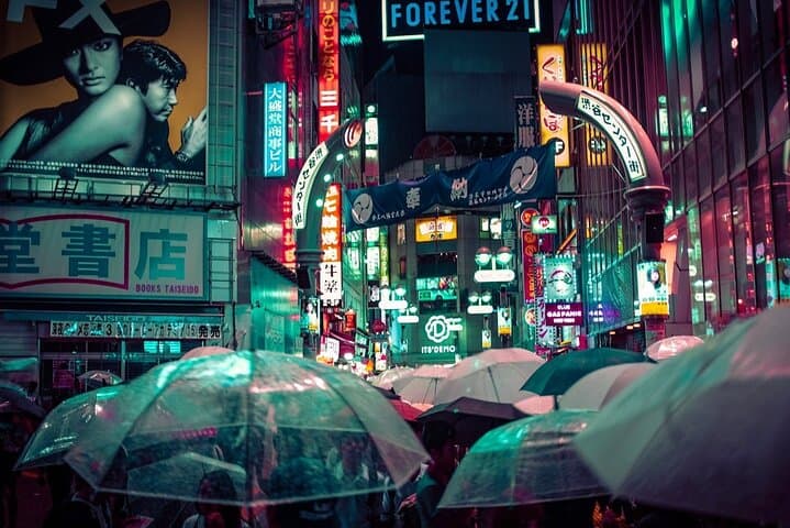 Tokyo Highlights Private Full Day City Tour With English Guide — photo 5