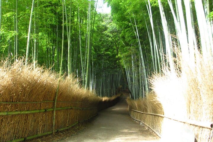 Kyoto Bus Tour: Sagano Railway & Hozugawa River Boat Ride — photo 6