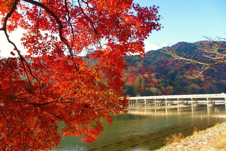Kyoto Bus Tour: Sagano Railway & Hozugawa River Boat Ride — photo 7