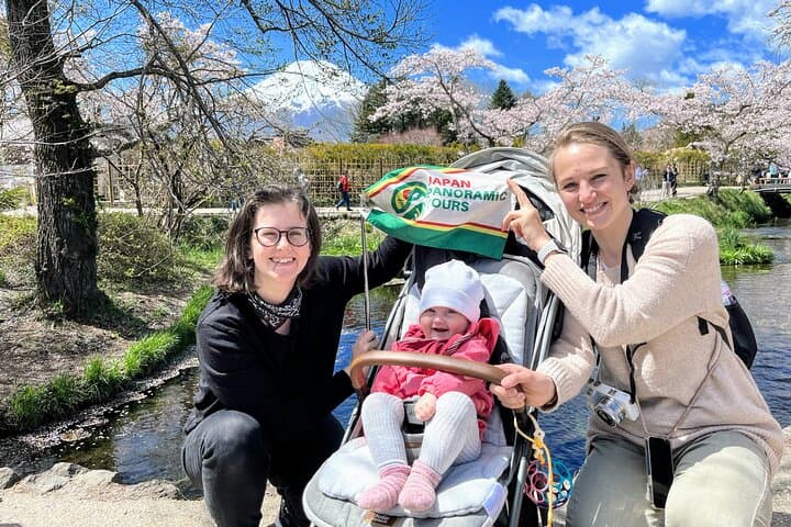 Mt Fuji and Hakone 1-Day Bus Tour Return by Bullet Train — photo 4