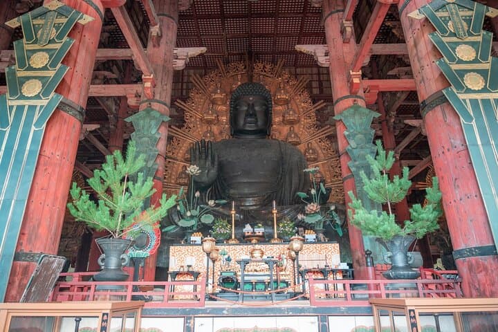 Discover Ancient Nara: Private Car Tour from Kyoto or Osaka — photo 6