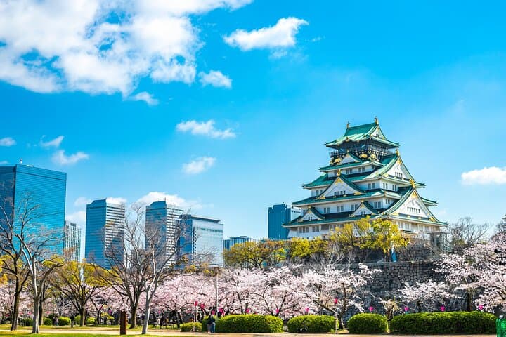 Osaka Highlights Private Tour with Local driver (guide option) — photo 2