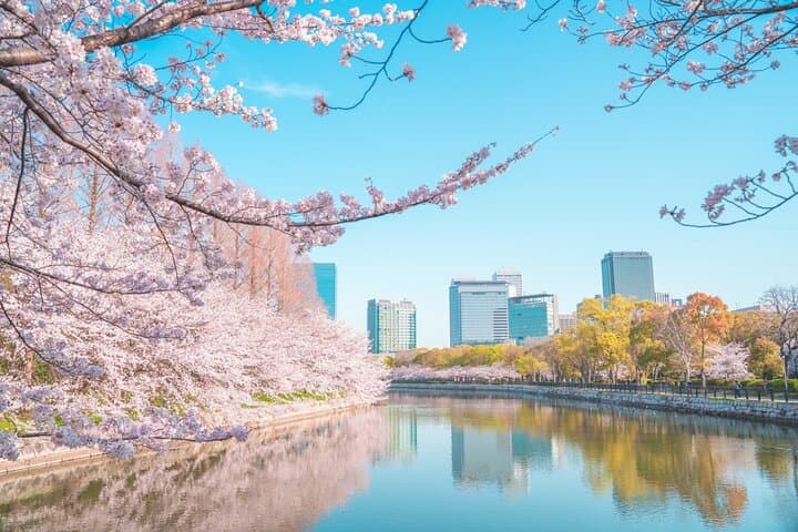 Osaka Highlights Private Tour with Local driver (guide option) — photo 3