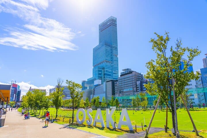 Osaka Highlights Private Tour with Local driver (guide option) — photo 8