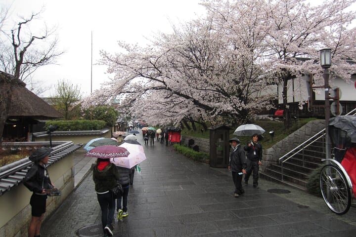Kiyomizudera, Higashiyama and Yasaka Shrine Guided Walking Tour — photo 13