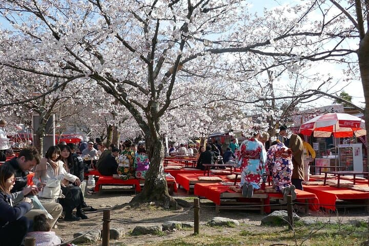Kiyomizudera, Higashiyama and Yasaka Shrine Guided Walking Tour — photo 3