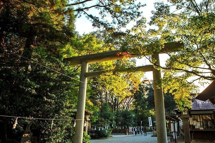 Kamishikimi Kumanoza Shrine, Amano Iwato Shrine & Takachiho Gorge — photo 4