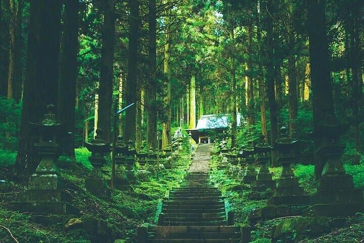 Kamishikimi Kumanoza Shrine, Amano Iwato Shrine & Takachiho Gorge — photo 5