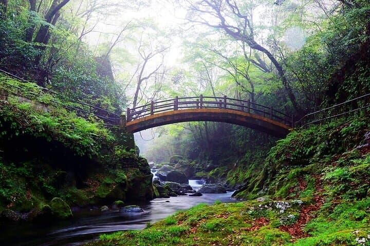 Kamishikimi Kumanoza Shrine, Amano Iwato Shrine & Takachiho Gorge — photo 6