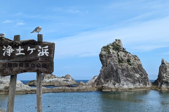 Michinoku Coastal Trail & Sea Kayak in Jodogahama — photo 5