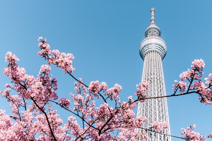 Tokyo | Fully Personalized Private Day Tour with Certified Guide — photo 2