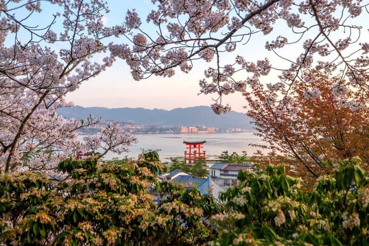 Hiroshima and Miyajima Private Tour with English Speaking Driver — photo 14
