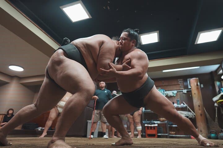 Unique Afternoon Live Sumo training tour in Tokyo — photo 5