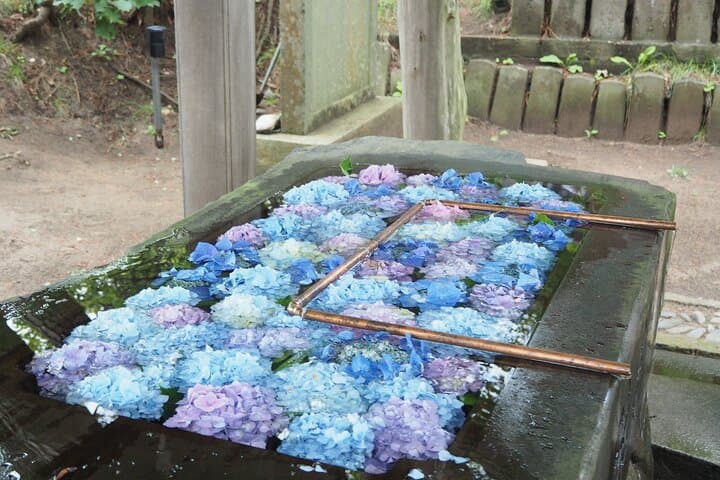 Takayama Inari Shrine & Tsurunomai-hashi bridge Tour — photo 6