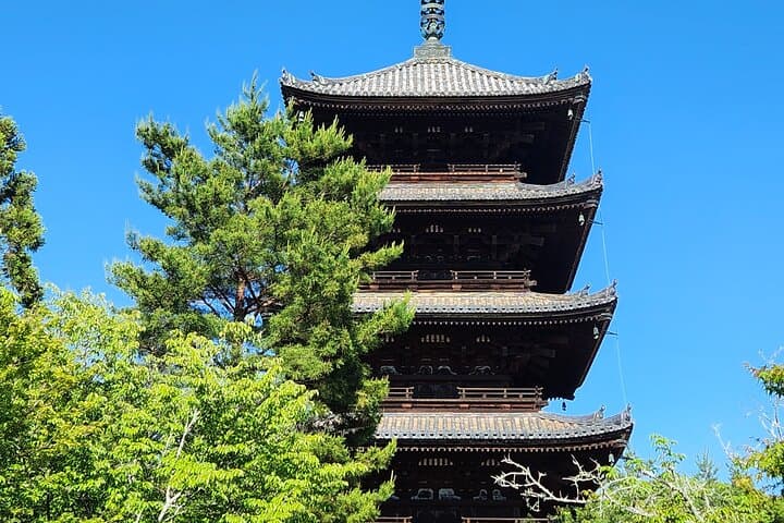 Kyoto Highlights of 6 Hour Private Car Tour — photo 6