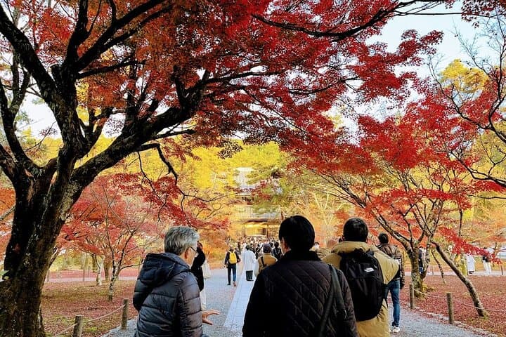 Tokyo Autumn Highlights Private Walking Tour by trains, subways — photo 7