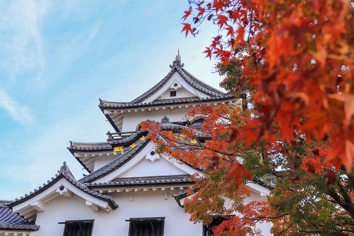 Explore the Historic Castle Town of Hikone from Kyoto — photo 1