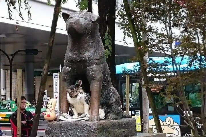 Tokyo Autumn Highlights Private Walking Tour by trains, subways — photo 6