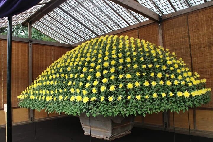 Tokyo Autumn Gardens, Private Walking Tour by trains, subways — photo 1
