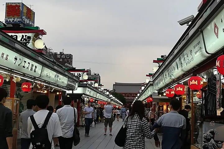 Tokyo Autumn Gardens, Private Walking Tour by trains, subways — photo 6